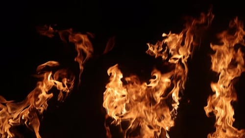 Real Fire Burning With Large Flames On A Black Background
