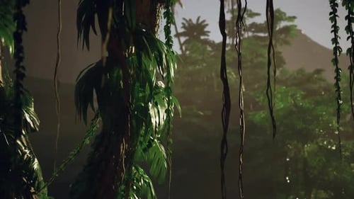 Dense Green Forest With Abundant Trees