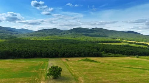 Mowed green meadow, lush beautiful forest, verdant mountains.