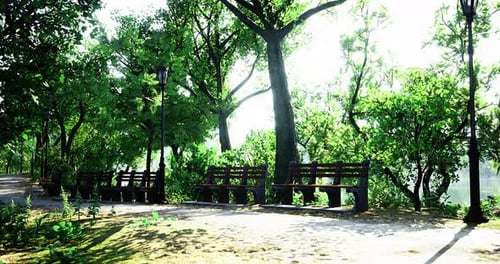 Serene Park Pathway with Benches Under Lush Green Trees During Daylight