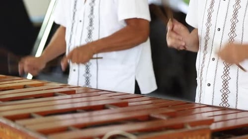pareja de hombres tocando la marimba mexicana en un evento de cerca
