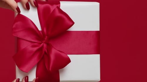 Wrapped Present with Red Ribbon and Bow