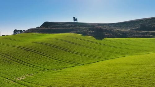 Aerial View of The Bull of Osborne is a Huge Silhouette