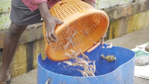 Fresh Seafood - Hand-Pulled from the Bountiful Ocean