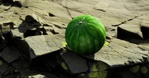 Watermelon Resting on Rocky Surface Under Bright Sunlight
