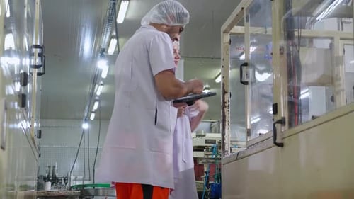 Two technician inspecting automated machinery in food industry.