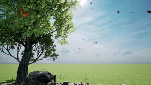 Butterflies Flying In Green Field