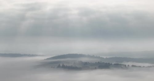 Aerial Drone Footage of Misty Fog Blowing Over Pine Tree Forest on a Beautiful Morning