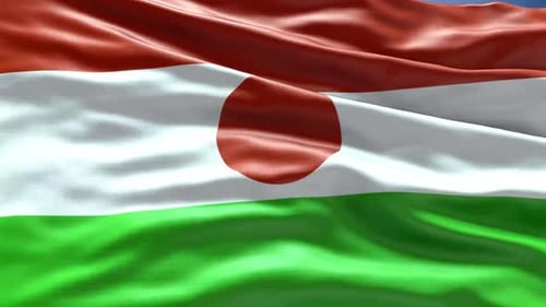 Realistic Niger National Flag Waving Animation Loop