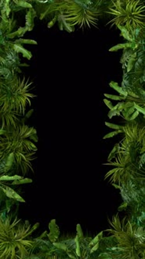 Tropical Plant Frame Vertical Loop with Transparent Alpha Channel. 3D rendering
