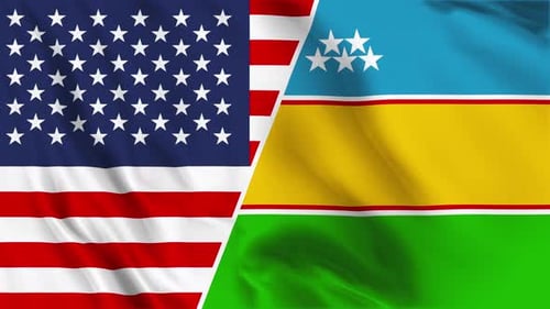 USA and Partner Nation Waving Flags Split Screen