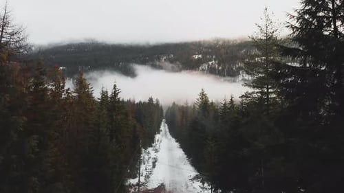 Aerial View Of Misty Coniferous Forest In Nakusp, British Columbia, Canada During Winter - drone sho