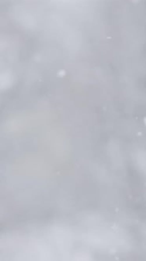 Gentle Snowflakes Falling in Winter Weather