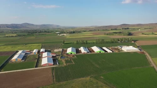Fermes d'animaux et scène de la nature avec vue aérienne