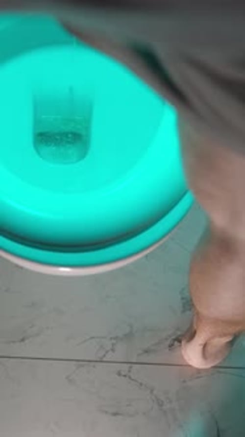 Vertical video. View from behind of a man's legs, he stands in front of the toilet and urinates.