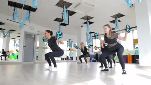 Fit Active Women Squat with Dumbbells During Gym Workout Exercise or Workout