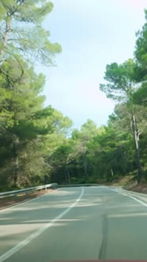 Driving a Winding Mountain Road in Montserrat