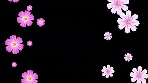 Spring Flowers | 4K Alpha