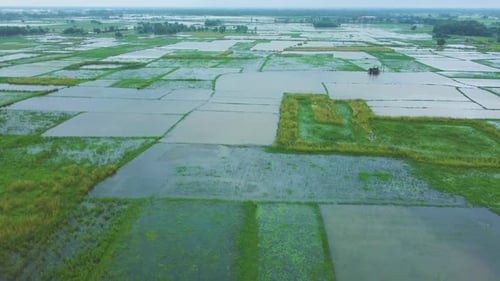 The surrounding area was flooded due to heavy rain.