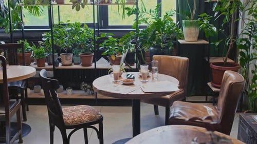Table with Unfinished Coffee and Documents in Stylish Verdant Cafe