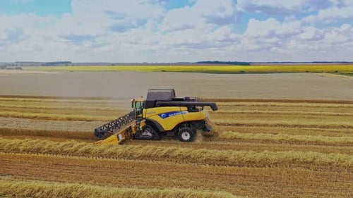 Getreidefeld ernten. Luftbild von Mähdreschern, die den Weizen
ernten
