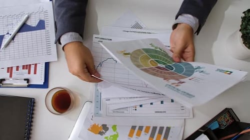 Analyse visuelle des tendances des données financières et des performances du marché