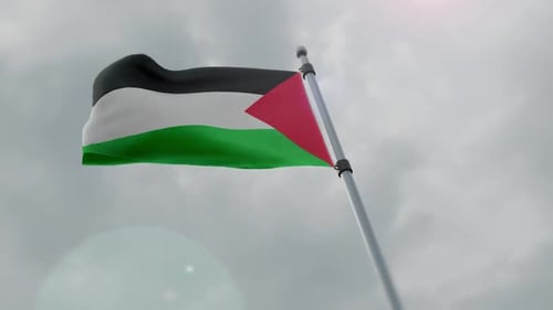 Realistic Waving Palestine Flag Loop