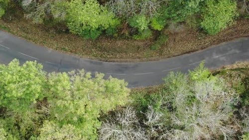 Curved road in rural landscape. Aerial top-down sideways directly above