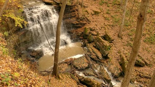 a forest creek plunges down in the fall like a huge waterfall over the rocks between the falling lea