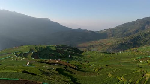 Hillside Terrace agricultural farming villages in kodaikanal ,thamiladu ,india ,