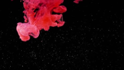 Abstract Red Ink Swirling on Black Background