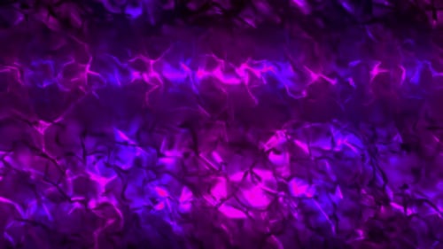 Abstract Fluid Neon Purple Pink Light Energy Background Loop