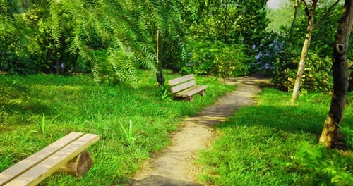 Lush Park Pathway with Benches Inviting Relaxation on a Sunny Day
