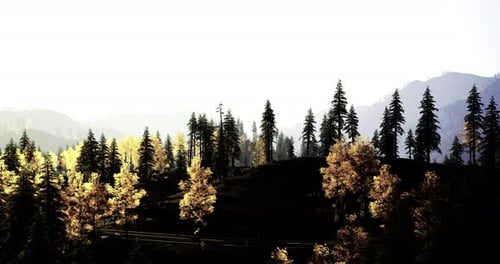 Sunlight Filters Through Autumn Trees on a Mountain Landscape