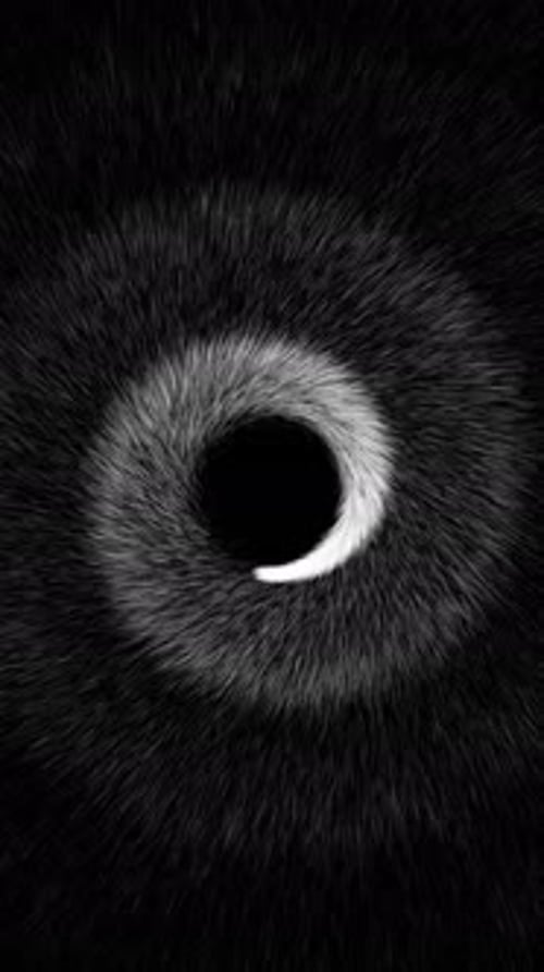 Vertical Video - Black and White Spiral Particles Abstract Background