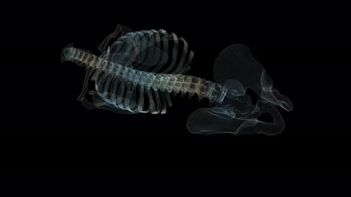 Futuristic 3D Human Skeleton Scan for Medical Visualization