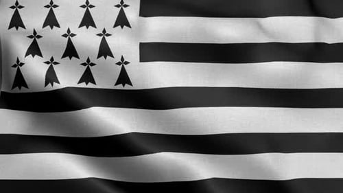 Black and White Brittany Flag Waving Seamless Loop
