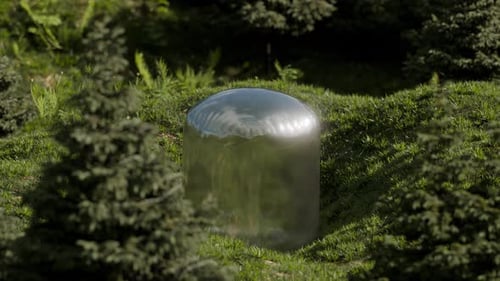 Surreal Shape Inflating Loop 3D Animation