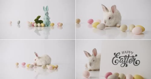 Easter Bunny and Eggs in a Bright Setting