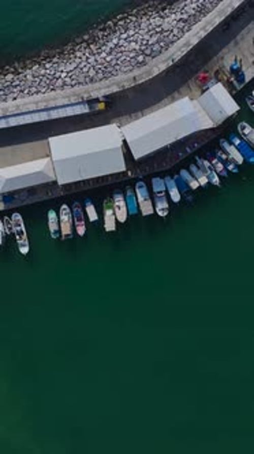 Vertical Video of a Tourist Harbor With Boats Lined Up Captured From a Drone With Palm Trees and a