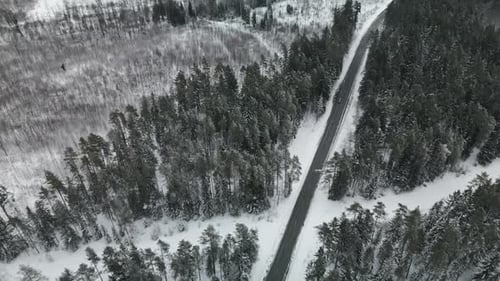 Enjoy a Scenic and Picturesque Winter Drive Through Beautiful SnowCovered Forests with a Blurry