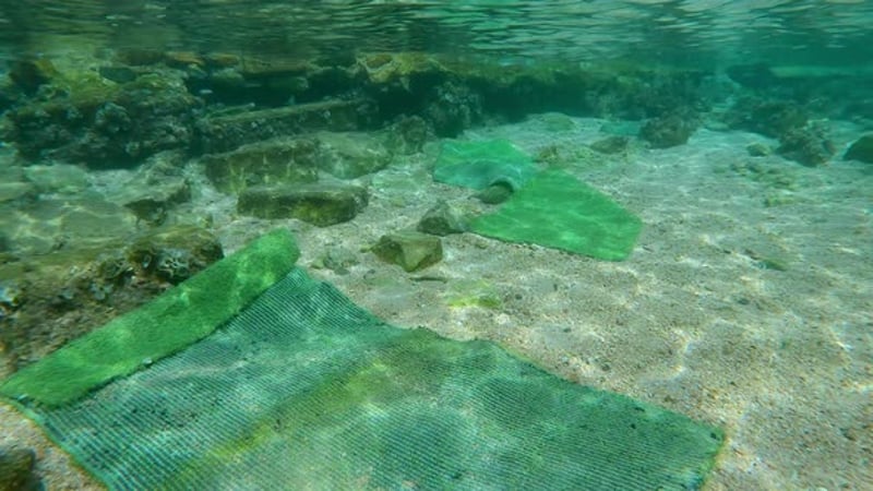 Egyptian coastal areas traditionally wash carpets in sea, using ...