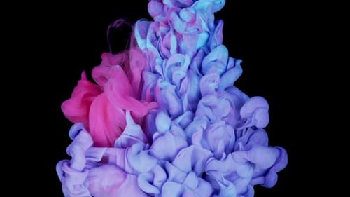 Blue and Pink Ink Swirling in Black Background