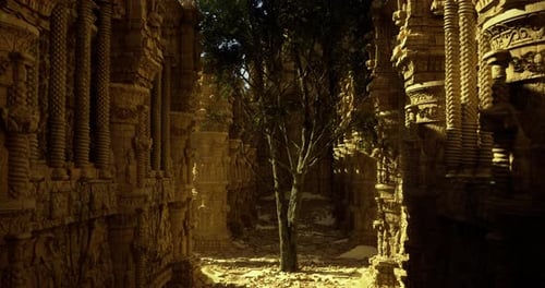 Ancient Ruins Illuminate Natural Harmony with a Solitary Tree in Sunlight