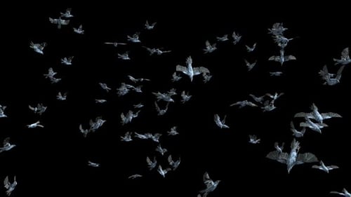 Large Flock of Dark Birds Flying Animation