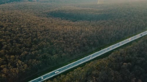 Aerial View of a Car Road in Autumn Leafless Forest