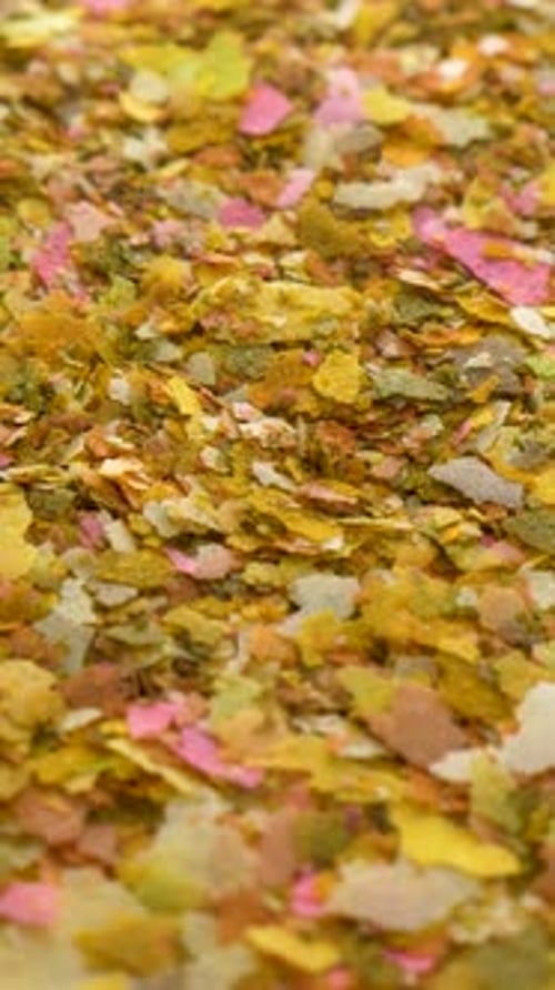 Flake Food Aquarium Fish