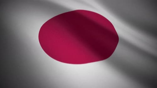 Realistic Flag Waving Logo Reveal