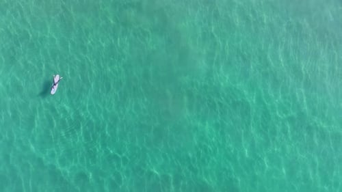 Person Seen Laying on Surfboard Shot From Directly Above