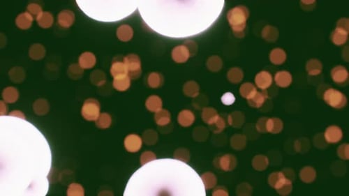 Abstract Fluid Bubbles and Bokeh Motion Background